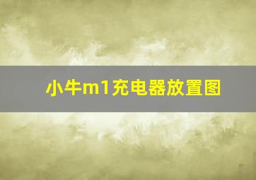 小牛m1充电器放置图