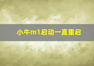 小牛m1启动一直重启