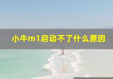 小牛m1启动不了什么原因