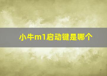 小牛m1启动键是哪个