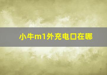 小牛m1外充电口在哪