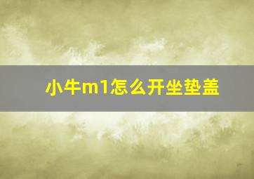 小牛m1怎么开坐垫盖