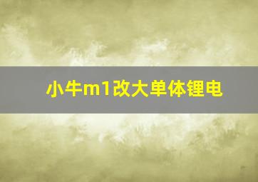 小牛m1改大单体锂电