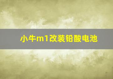 小牛m1改装铅酸电池