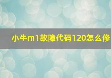 小牛m1故障代码120怎么修