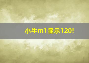 小牛m1显示120!