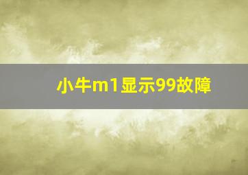 小牛m1显示99故障