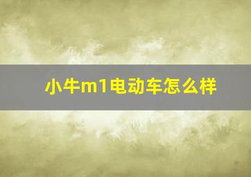 小牛m1电动车怎么样