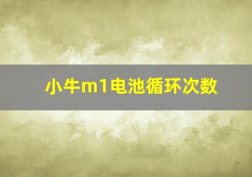 小牛m1电池循环次数