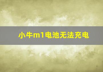 小牛m1电池无法充电