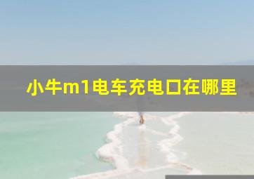 小牛m1电车充电口在哪里