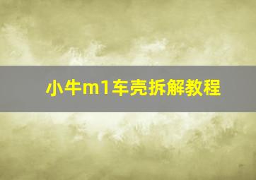 小牛m1车壳拆解教程