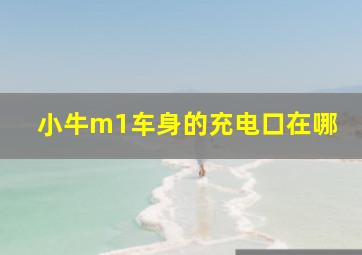 小牛m1车身的充电口在哪