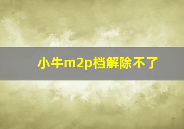 小牛m2p档解除不了