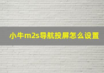 小牛m2s导航投屏怎么设置