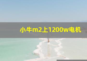 小牛m2上1200w电机