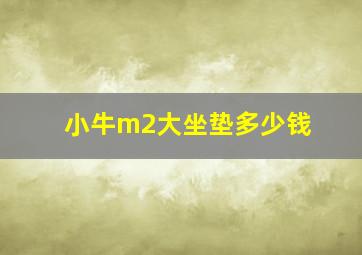 小牛m2大坐垫多少钱