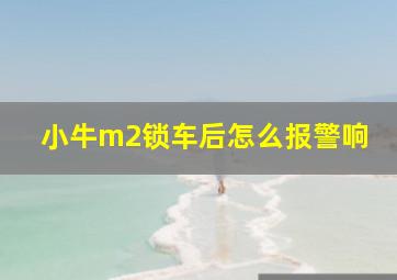 小牛m2锁车后怎么报警响