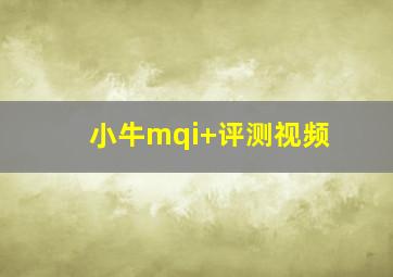 小牛mqi+评测视频