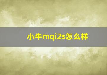 小牛mqi2s怎么样