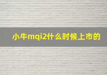 小牛mqi2什么时候上市的