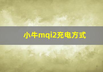 小牛mqi2充电方式