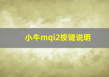 小牛mqi2按键说明