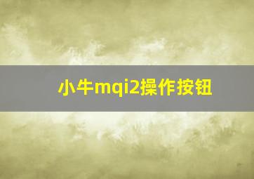 小牛mqi2操作按钮