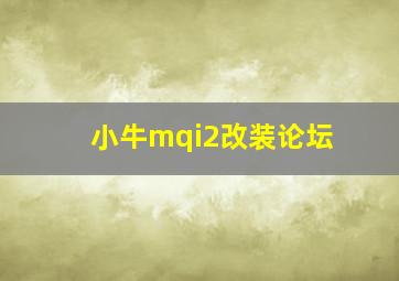 小牛mqi2改装论坛