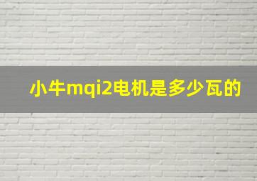 小牛mqi2电机是多少瓦的