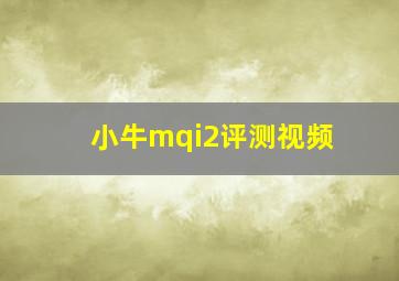 小牛mqi2评测视频