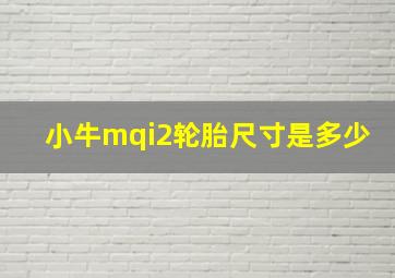 小牛mqi2轮胎尺寸是多少