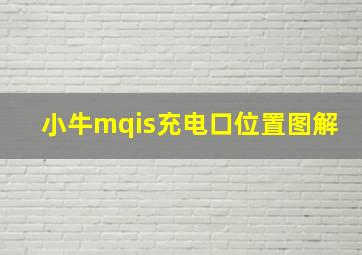 小牛mqis充电口位置图解