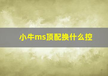 小牛ms顶配换什么控