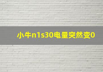 小牛n1s30电量突然变0