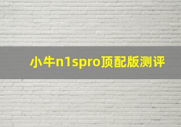 小牛n1spro顶配版测评