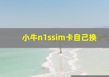 小牛n1ssim卡自己换