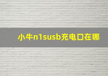 小牛n1susb充电口在哪