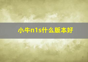 小牛n1s什么版本好