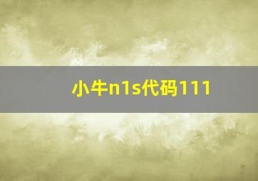 小牛n1s代码111