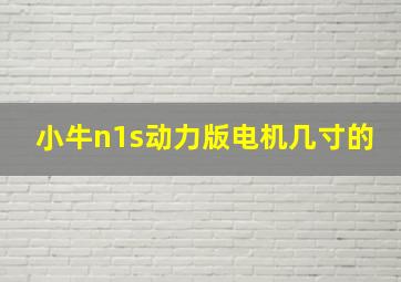 小牛n1s动力版电机几寸的