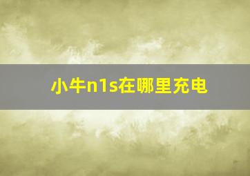 小牛n1s在哪里充电