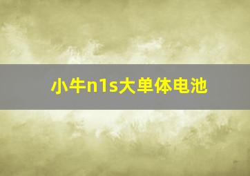 小牛n1s大单体电池