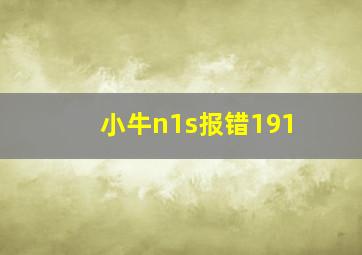 小牛n1s报错191