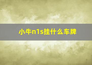 小牛n1s挂什么车牌