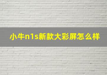 小牛n1s新款大彩屏怎么样