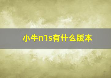 小牛n1s有什么版本