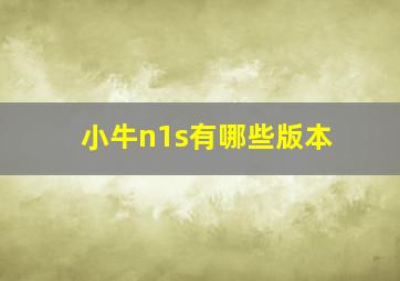 小牛n1s有哪些版本