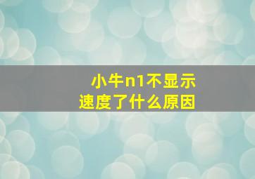 小牛n1不显示速度了什么原因