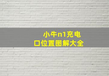 小牛n1充电口位置图解大全